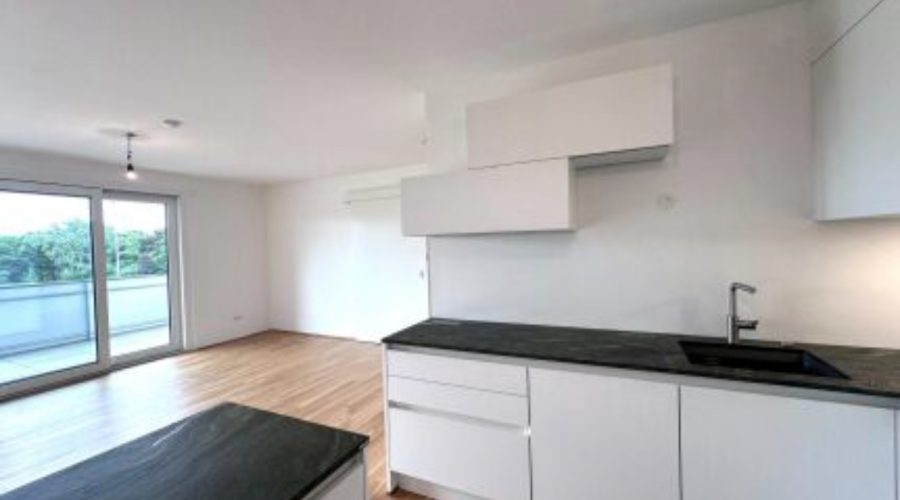 Großzügige Wohnung mit Loggia, Schwimmbad, Weinkeller & Garage nahe Schulen am Fuße des Bisambergs (1)